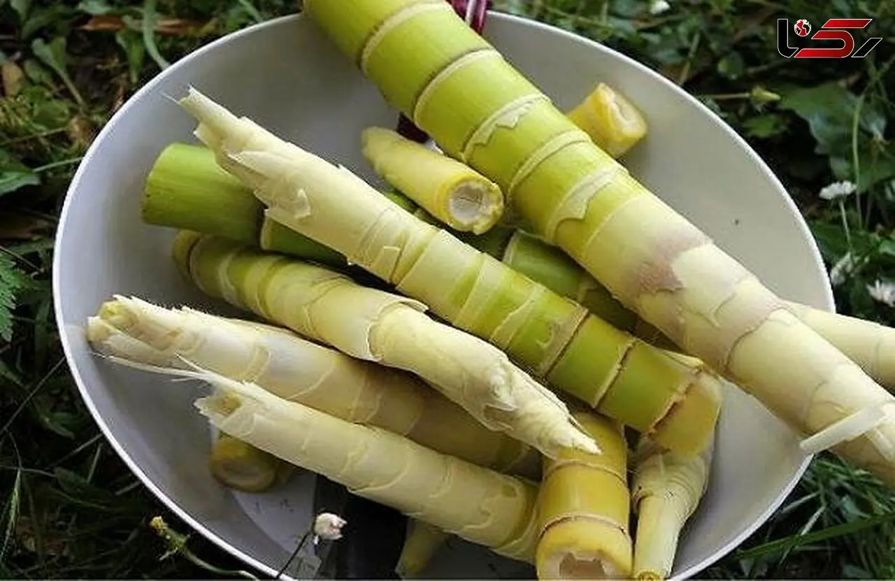 لاغری با ساقه ای اعجاب انگیز