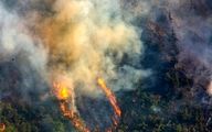 ماجرای شش روز آتش سوزی در جنگل های گچساران از زبان جنگل بان ها و محیط بان ها / بدون لباس مخصوص آتش را خاموش کردند! + فیلم