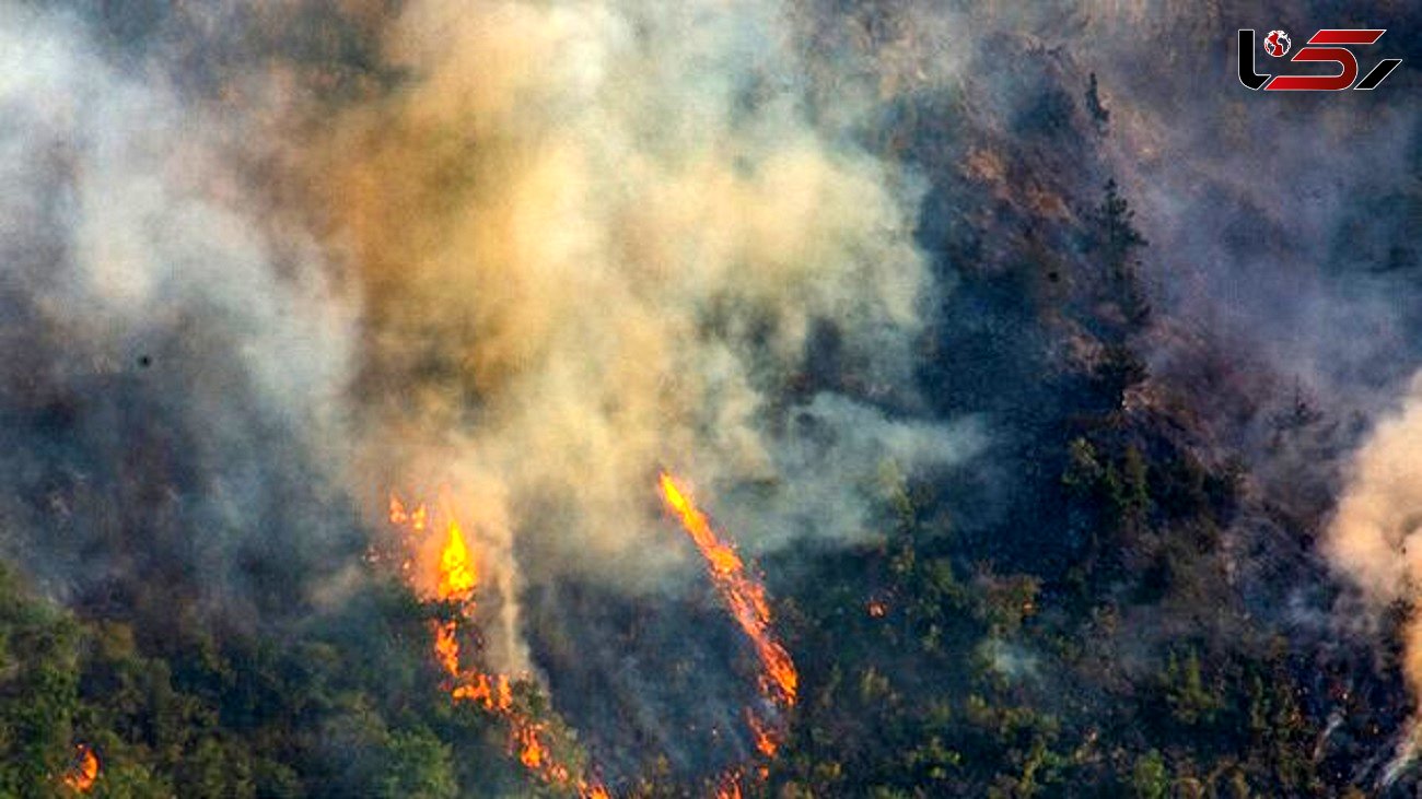 ماجرای شش روز آتش سوزی در جنگل های گچساران از زبان جنگل بان ها و محیط بان ها / بدون لباس مخصوص آتش را خاموش کردند! + فیلم