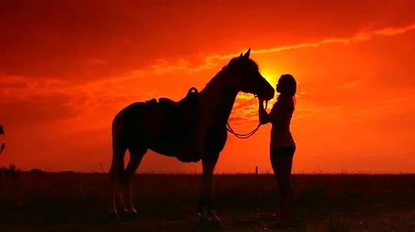 زنی که چهل سال در یک جزیره تنها با حیوانات زندگی کرد! + عکس