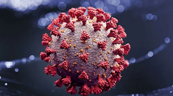 افراد بالای 65 سال بخوانند / کرونا تهدیدکننده اولیه نیست