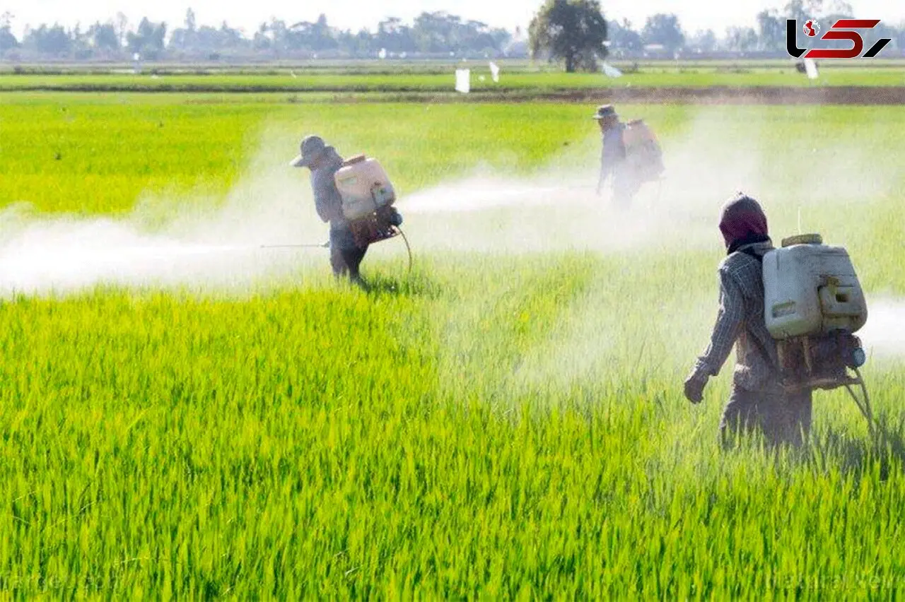 برخورد قانونی با متخلفان توزیع کود در مازندران
