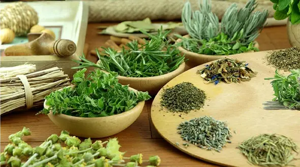 32 گیاه که در هر خانه ای باید باشد