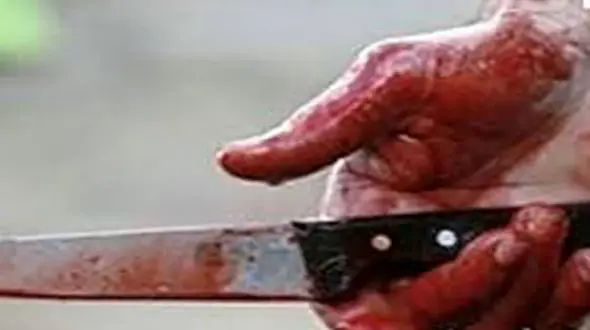 امیر دوست دختر مرا به خارج از شهر برده بود / بهاره بدش نمی آمد با هر دوی ما باشد