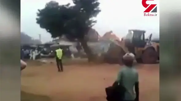 این درخت توسط جن ها تسخیر شد + فیلم 16+