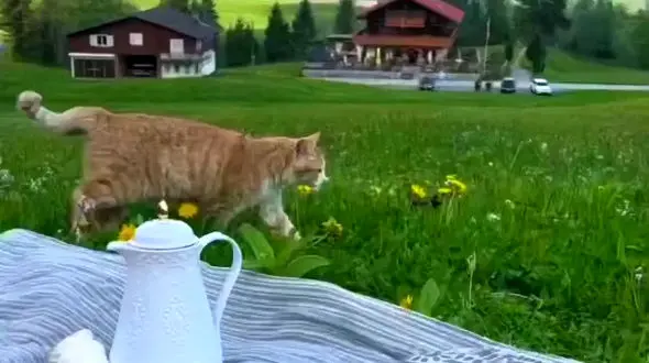 از امروز شروع کن 