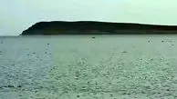 خبر خوش درباره دریاچه ارومیه / بارش باران بر دریاچه ارومیه + فیلم