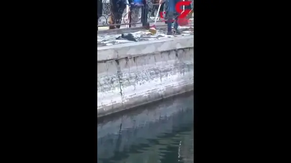 نجات کلاغ گیر افتاده در آب یخ زده ائل گلی تبریز+فیلم