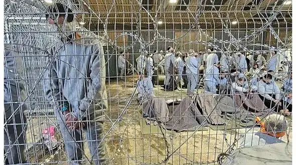 اسرای فلسطینی با آب جوش و شوک الکتریکی و حمله سگ ها شکنجه می شوند