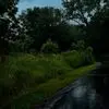 هر روز یک فرصت تازه برای درخشیدن