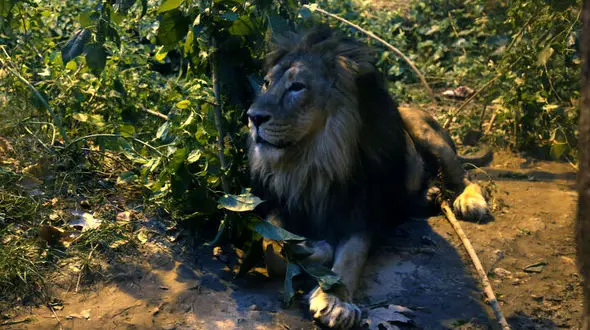 حال هیرمان خوب نیست ! 