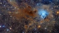 سحابی زنبق در فضای کیهانی + عکس
