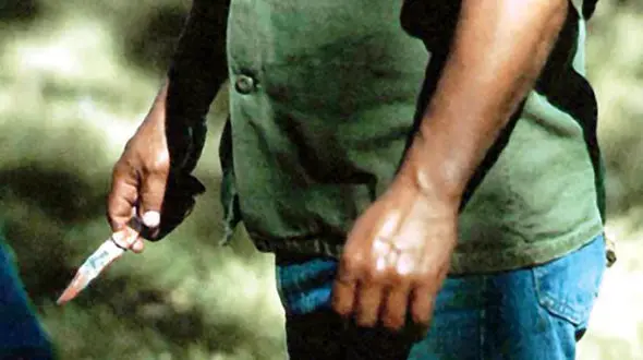 جمله مرگبار مست چاقو به دست به دو جوان در پارک کرج