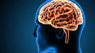 عامل گسترش سرطان به مغز کشف شد