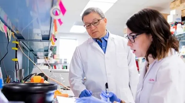 کشف یک آنتی‌بادی که کرونا را مسدود می‌کند