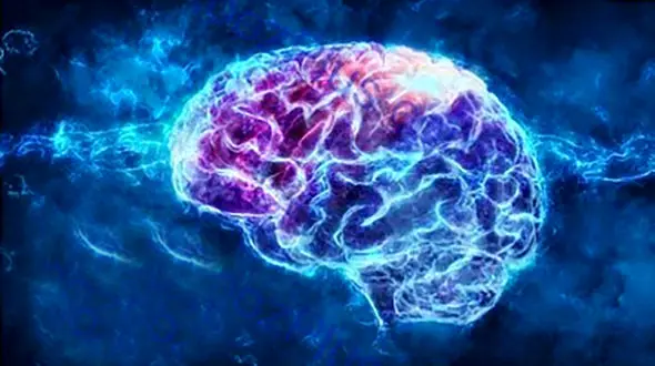 آسیب کرونا به مغز و سیستم عصبی+ عکس