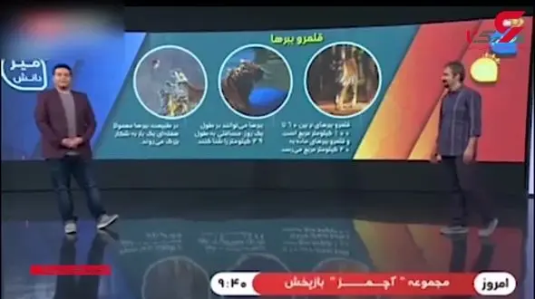 پخت گوشت های مرموز در هتل های ۵ ستاره  مرکز مشهد / تایید شد + فیلم