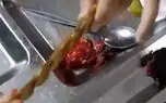 فیلم   کبابی به سفتی کمربند در سلف  یک دانشگاه در ایران / دانشگاه صنعتی اصفهان: فیلم منتسب شده به این دانشگاه ربطی به سلف ما ندارد ... 