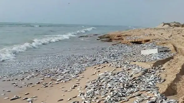 وضعیت ناراحت کننده ساحل چابهار پس از طوفان حاره ای + عکس