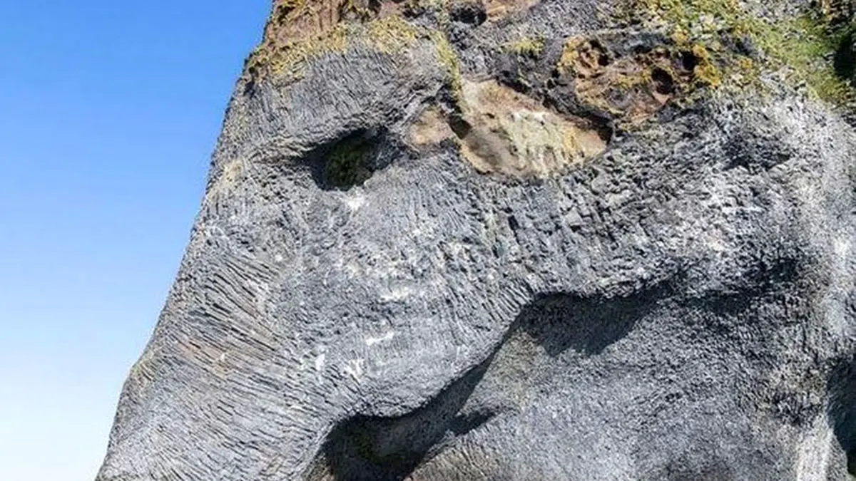 صخره فیل راک؛ شگفتی طبیعی با شباهت خارق‌العاده به فیل