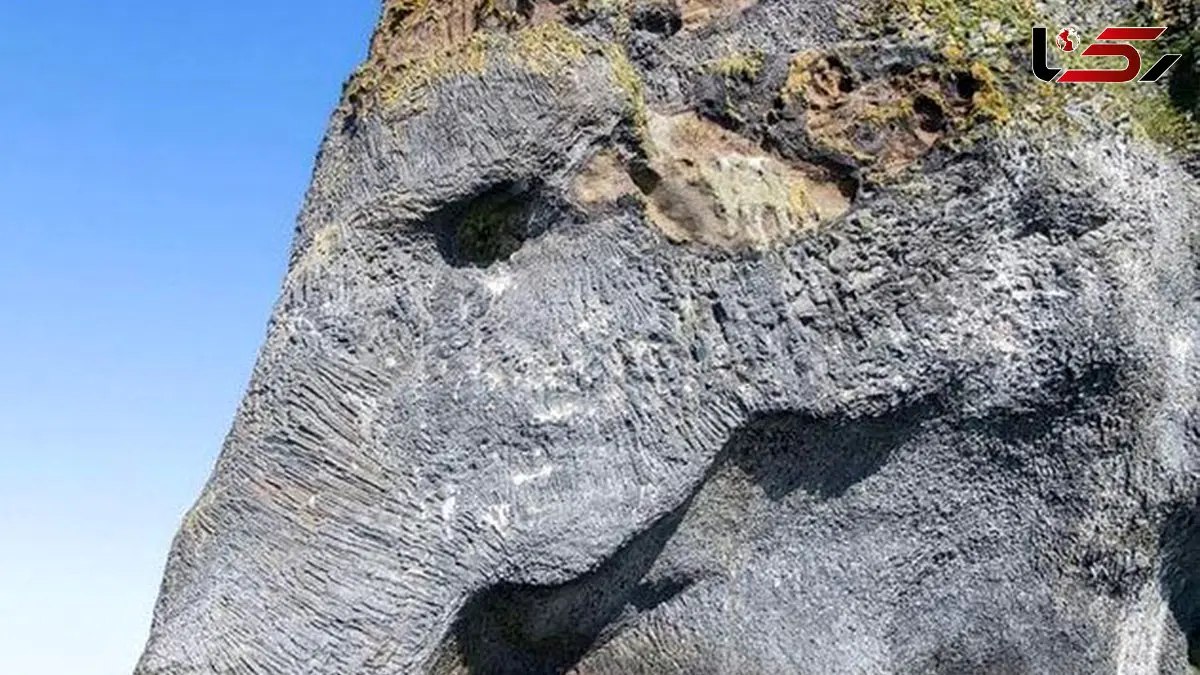صخره فیل راک؛ شگفتی طبیعی با شباهت خارق‌العاده به فیل + فیلم