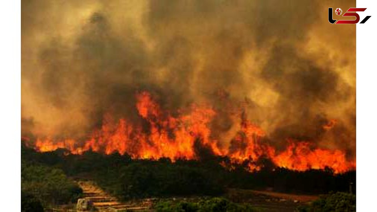 بررسی مجازات عاملان آتش سوزی جنگل ها و تخریب محیط زیست