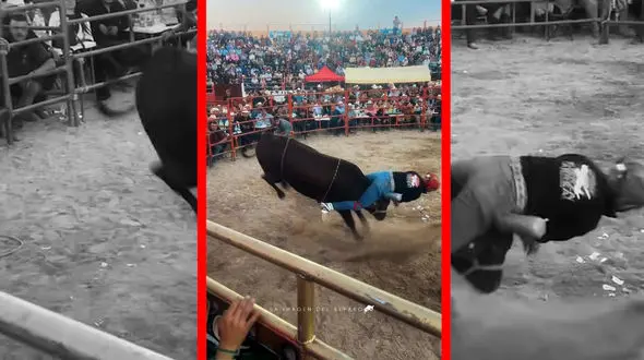 فیلم سقوط سوارکار در میدان گاوبازی