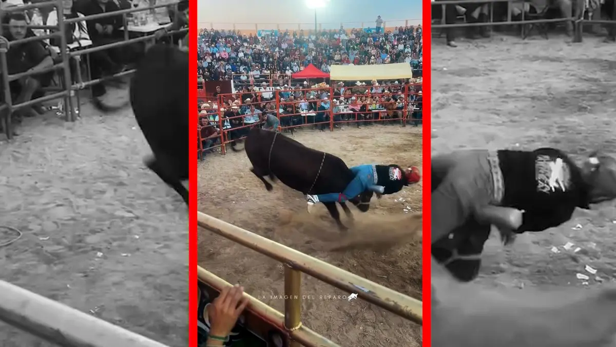 فیلم سقوط سوارکار در میدان گاوبازی