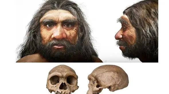 برای اولین بار: چهره واقعی اجداد اولیه انسان فاش شد!