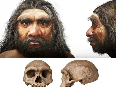 برای اولین بار: چهره واقعی اجداد اولیه انسان فاش شد!