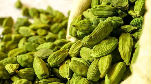 12 خاصیت بی نظیر هل 