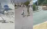 از کلاغ باهوش تا میمون بی حواس + فیلم