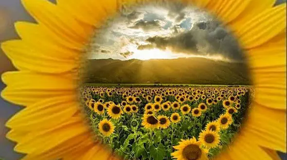 فال ابجد پایان سال 1402 + فیلم