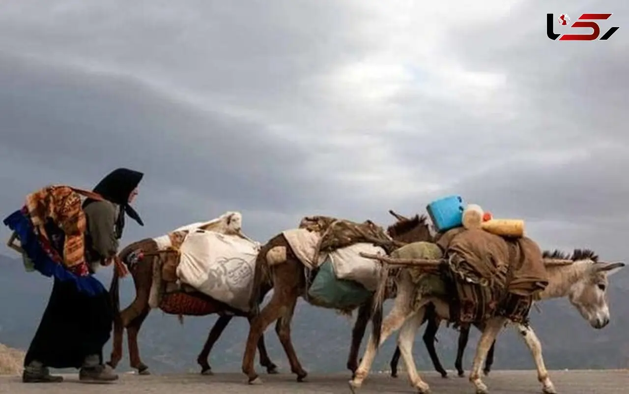 کوچ عشایر استان تهران به مناطق گرمسیری/ تلاش برای تامین نهاده مورد نیاز عشایر