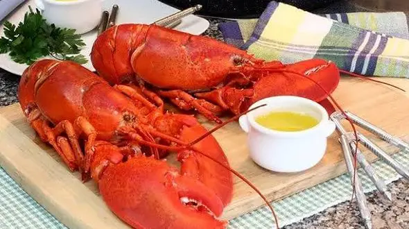 جزئیاتی از اخبار طبخ سوپ باله کوسه در رستوران‌های لاکچری تهران 