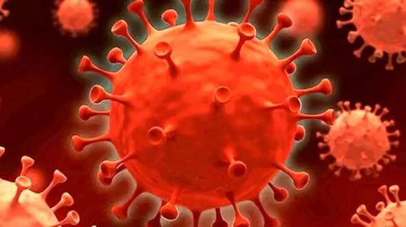 کرونا جان 6 دانشجوی دانشگاه تهران را گرفت