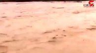 آرامگاه کوروش در محاصره سیل وحشتناک + فیلم 