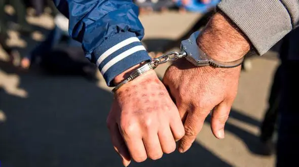 دزدیدن سگ 70 میلیون تومانی از 2 دختر در تهران