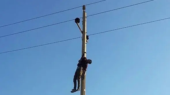  سارق سیم برق بالای تیر چراغ برق خشک شد / در قصر شیرین رخ داد