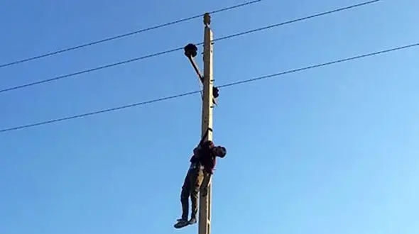  سارق سیم برق بالای تیر چراغ برق خشک شد / در قصر شیرین رخ داد