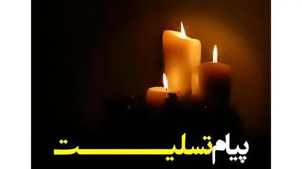  تسلیت وزیر بهداشت به مناسبت درگذشت والده دبیر شورای آموزش پزشکی و تخصصی 