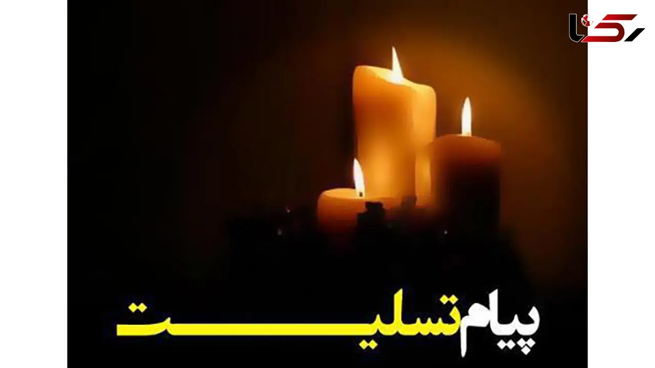 تسلیت مشاور رهبر انقلاب، باهنر و عارف درپی درگذشت حسین شیخ الاسلام