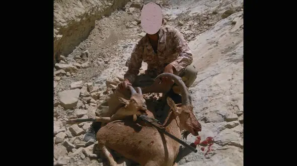 عکس یادگاری شکارچی بی رحم را در سمنان به دام انداخت + عکس 