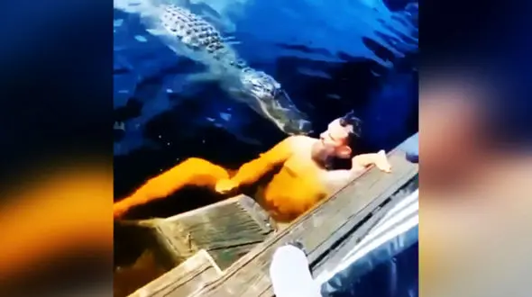 شوخی عجیب و خطرناک یک مرد با کروکودیل در آب + فیلم