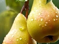 فال امروز 14 مرداد 