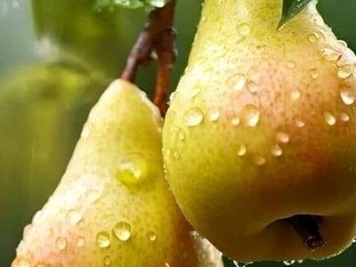 فال امروز 14 مرداد 