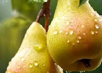 فال امروز 14 مرداد 