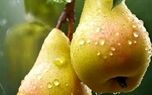 فال امروز 14 مرداد