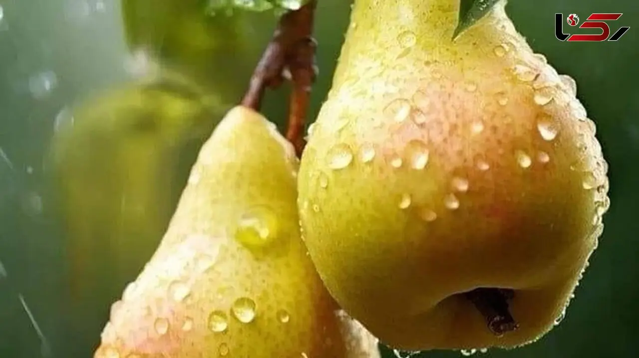 فال امروز 14 مرداد 