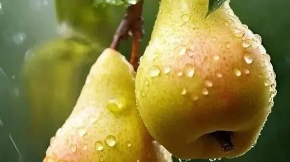 فال و طالع بینی امروز 27 دی 
